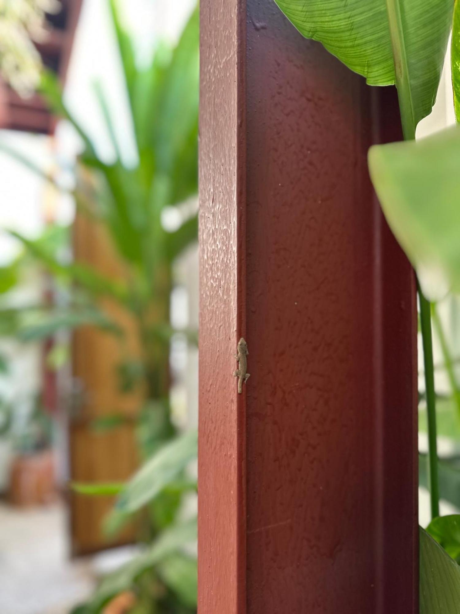 Palmcalina - Phuqui Beach House Cu Lao Thu Экстерьер фото