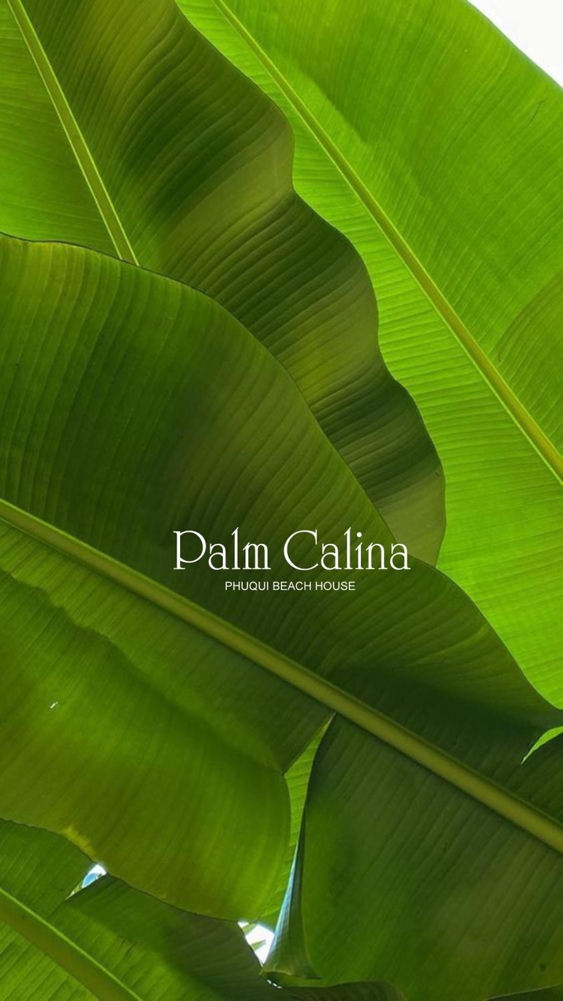 Palmcalina - Phuqui Beach House Cu Lao Thu Экстерьер фото