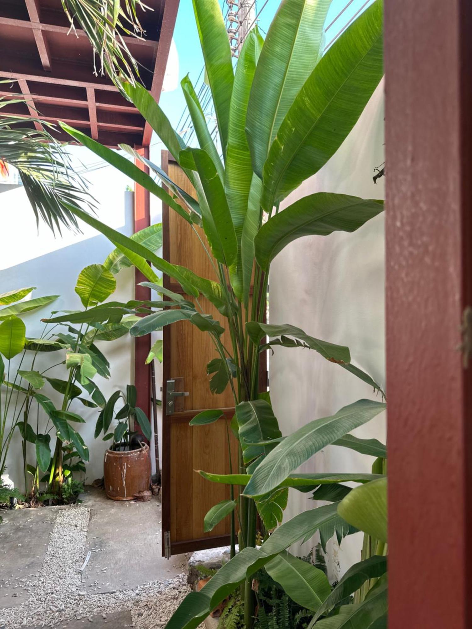 Palmcalina - Phuqui Beach House Cu Lao Thu Экстерьер фото