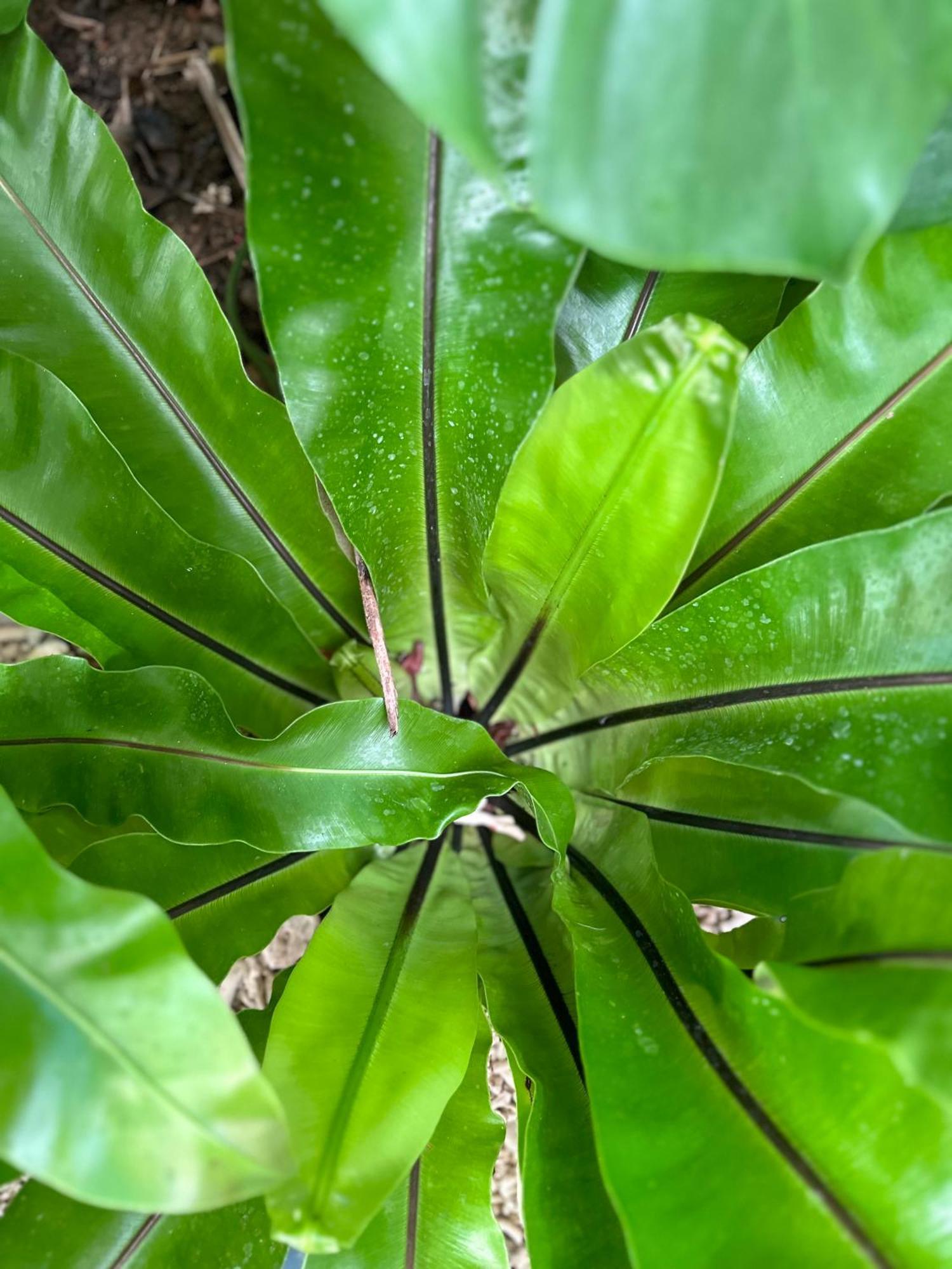 Palmcalina - Phuqui Beach House Cu Lao Thu Экстерьер фото