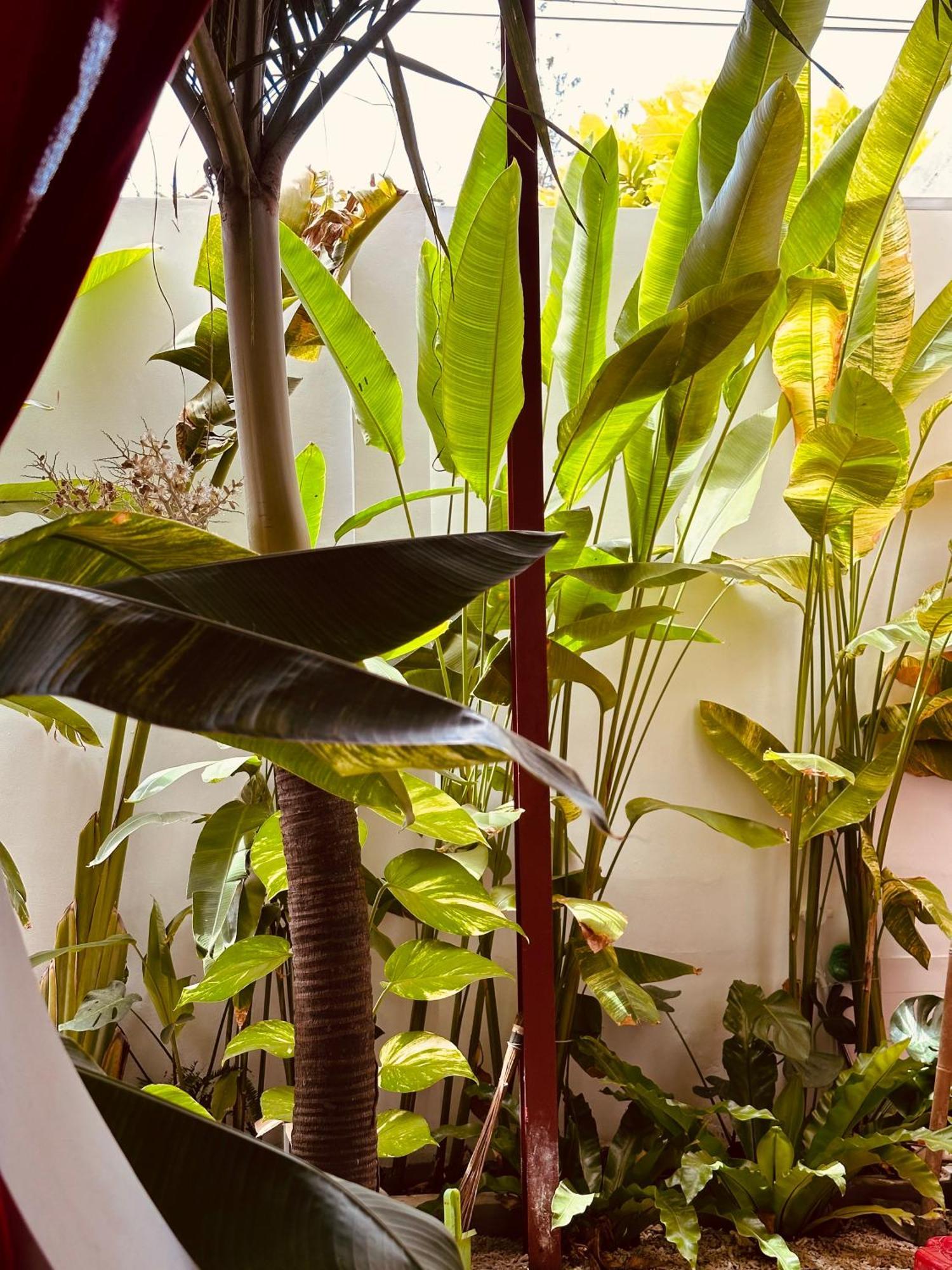 Palmcalina - Phuqui Beach House Cu Lao Thu Экстерьер фото