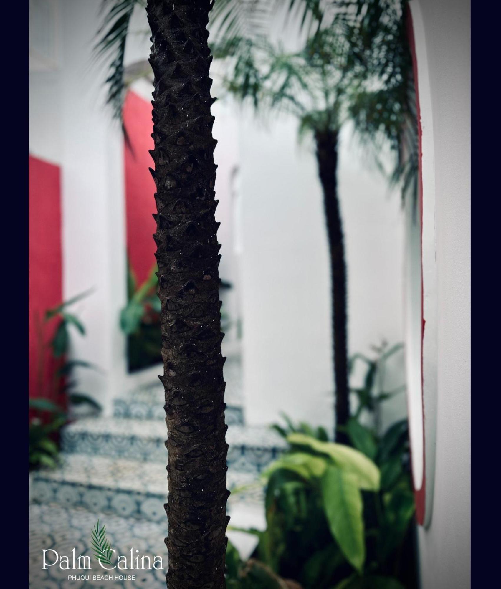 Palmcalina - Phuqui Beach House Cu Lao Thu Экстерьер фото
