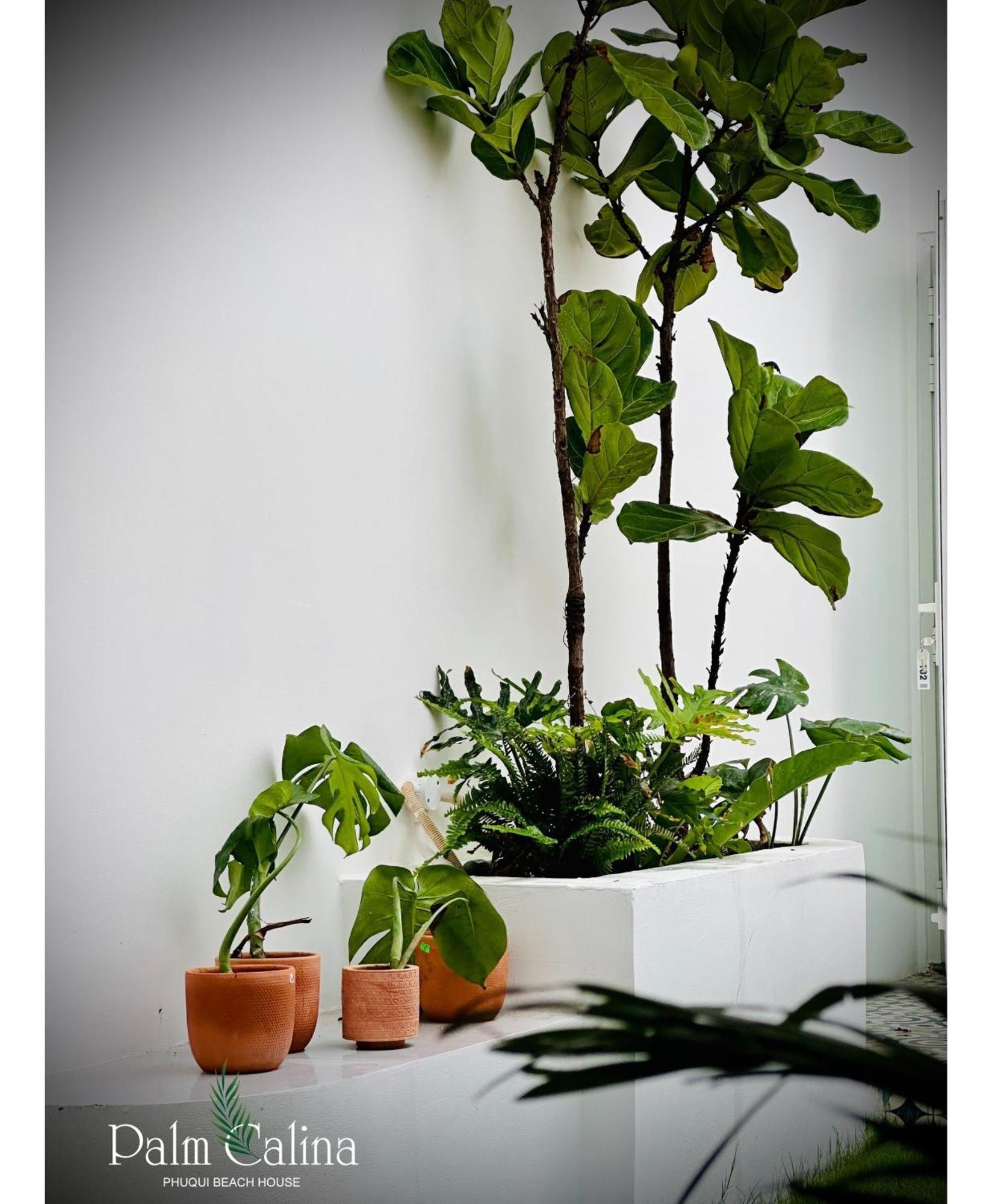 Palmcalina - Phuqui Beach House Cu Lao Thu Экстерьер фото